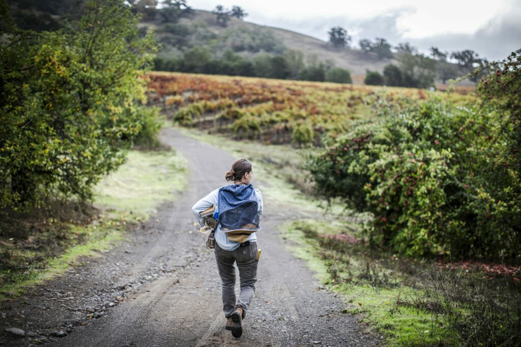 Candice Koseba checks on hives outside Healdsburg. (Bryan Meltz/Sonoma Magazine)