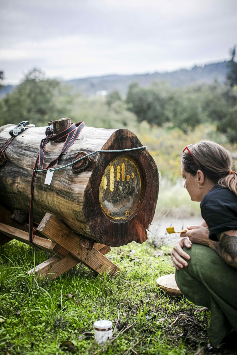 A sustainable log hive with a removable window that allows Candice Koseba to check on the bees' health without opening the hive entirely. (Bryan Meltz/Sonoma Magazine)