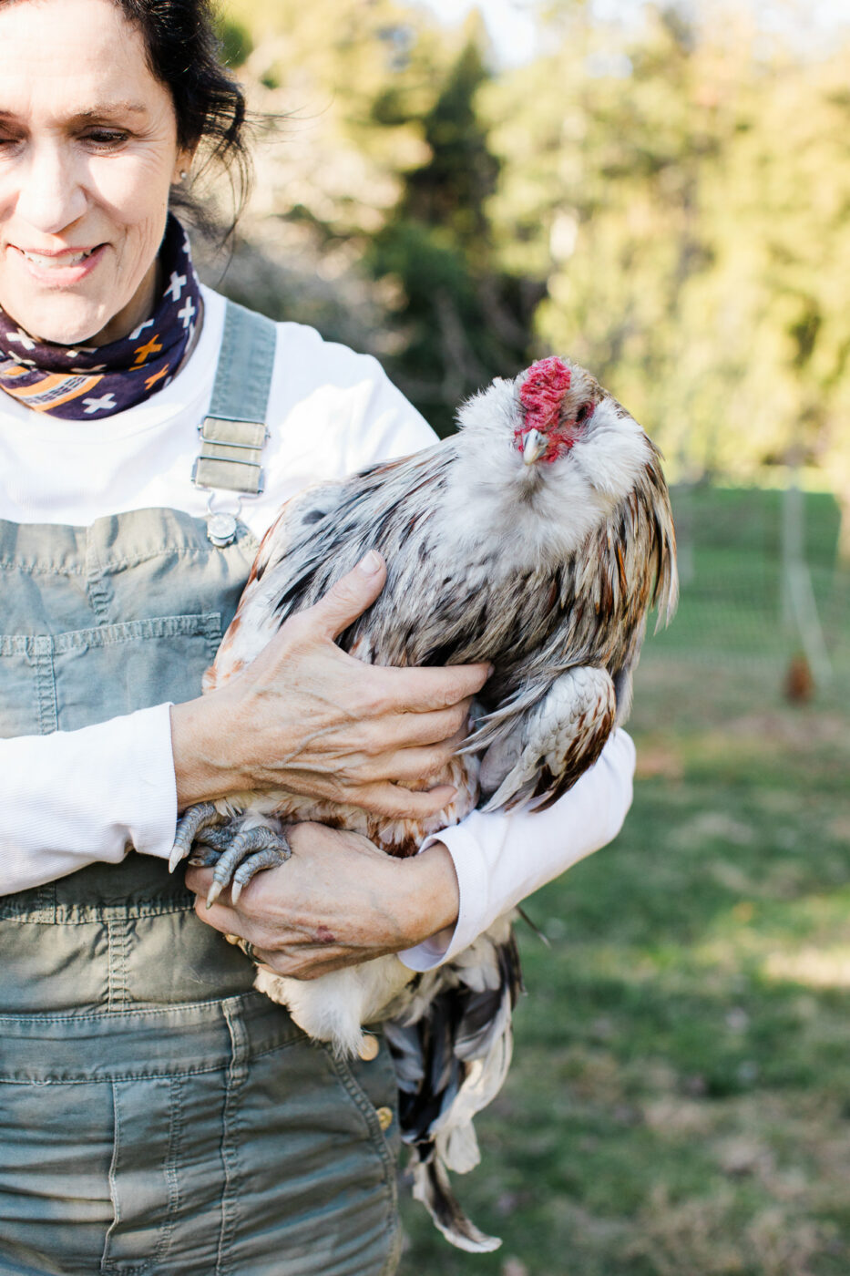 Sebastopol flower farmer Nicole Buttitta