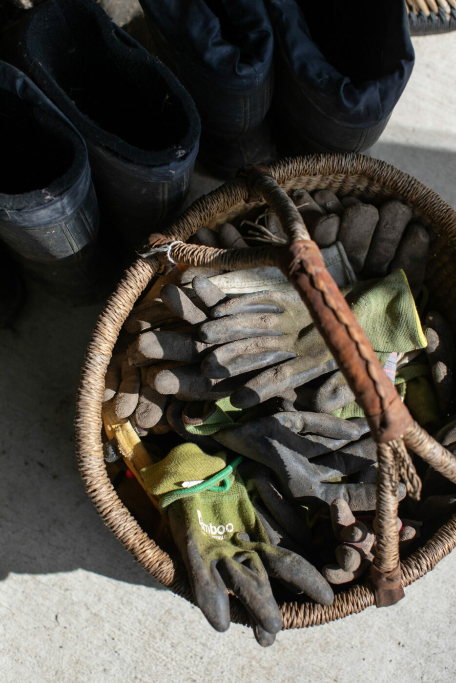 Nick and Spencer see their project as an important step in helping others engage with climate advocacy. That’s why outreach is such an important part of their work, including community work parties and demonstration gardens. (Eileen Roche / Sonoma Magazine)