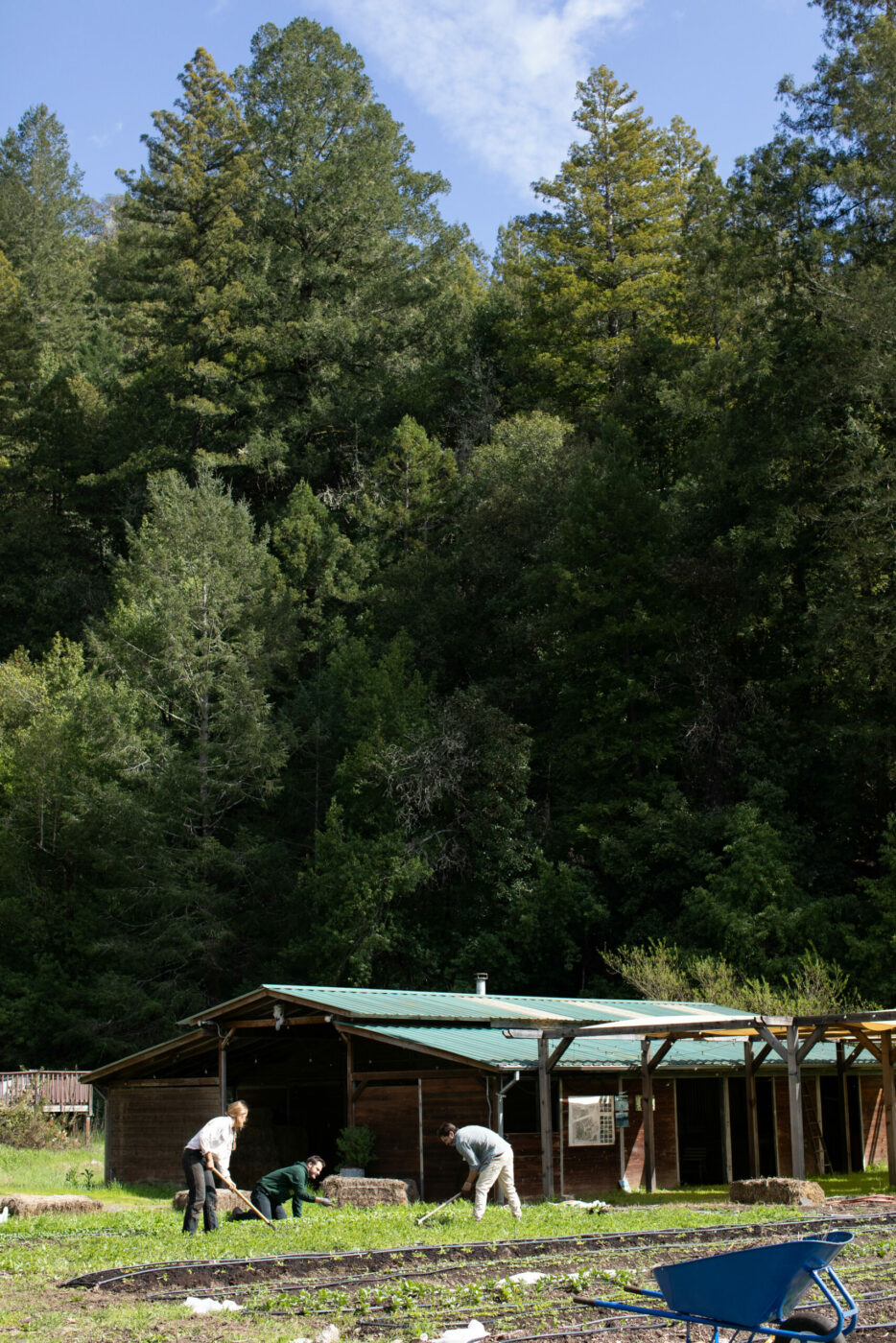 Nick Schwanz and Spencer Scott see their project as an important step in helping others engage with climate advocacy. That’s why outreach is such an important part of their work, including community work parties and demonstration gardens. (Eileen Roche / Sonoma Magazine)