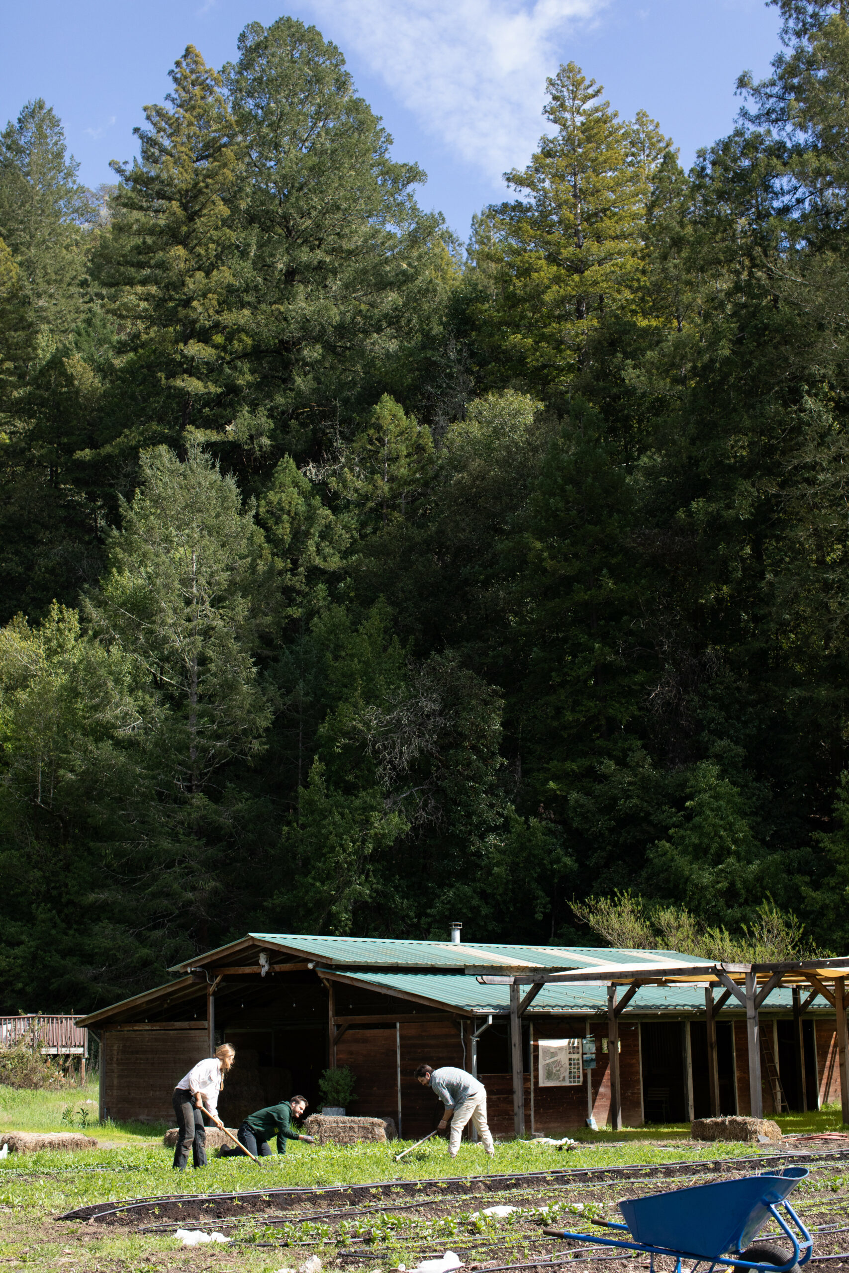 Solar Punk Farms in Guerneville by the Russian River