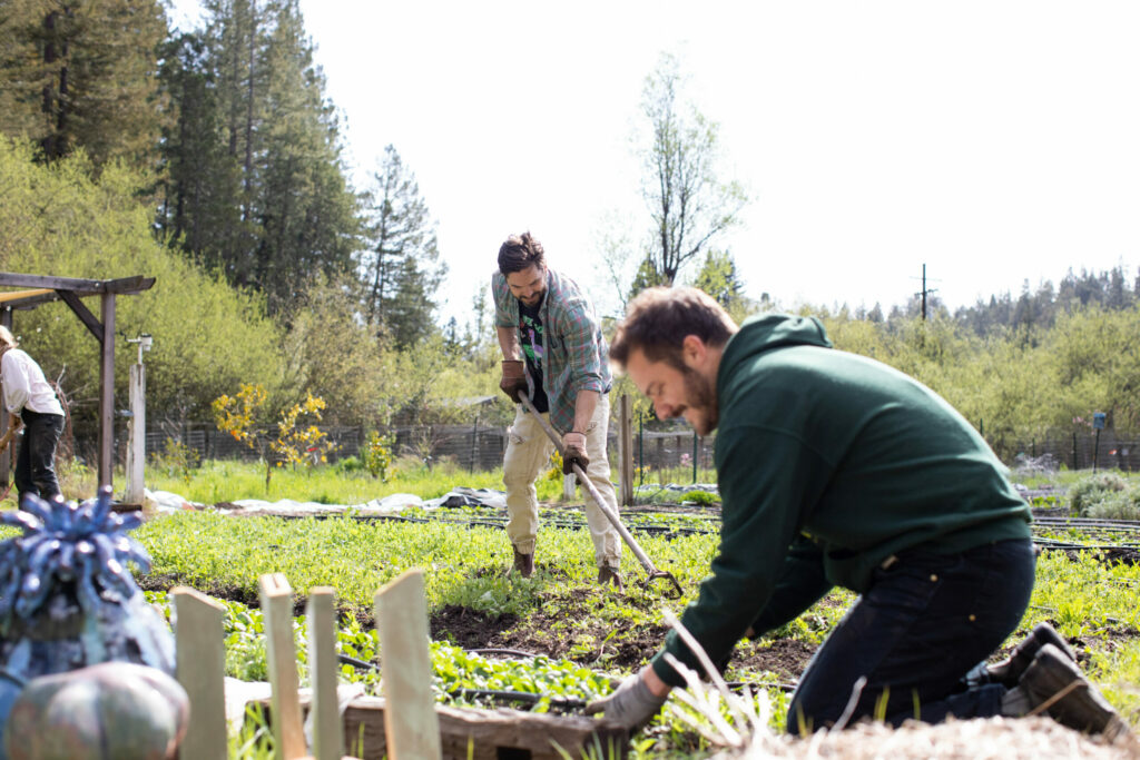 Nick and Spencer see their project as an important step in helping others engage with climate advocacy. That’s why outreach is such an important part of their work, including community work parties and demonstration gardens. (Eileen Roche / Sonoma Magazine)