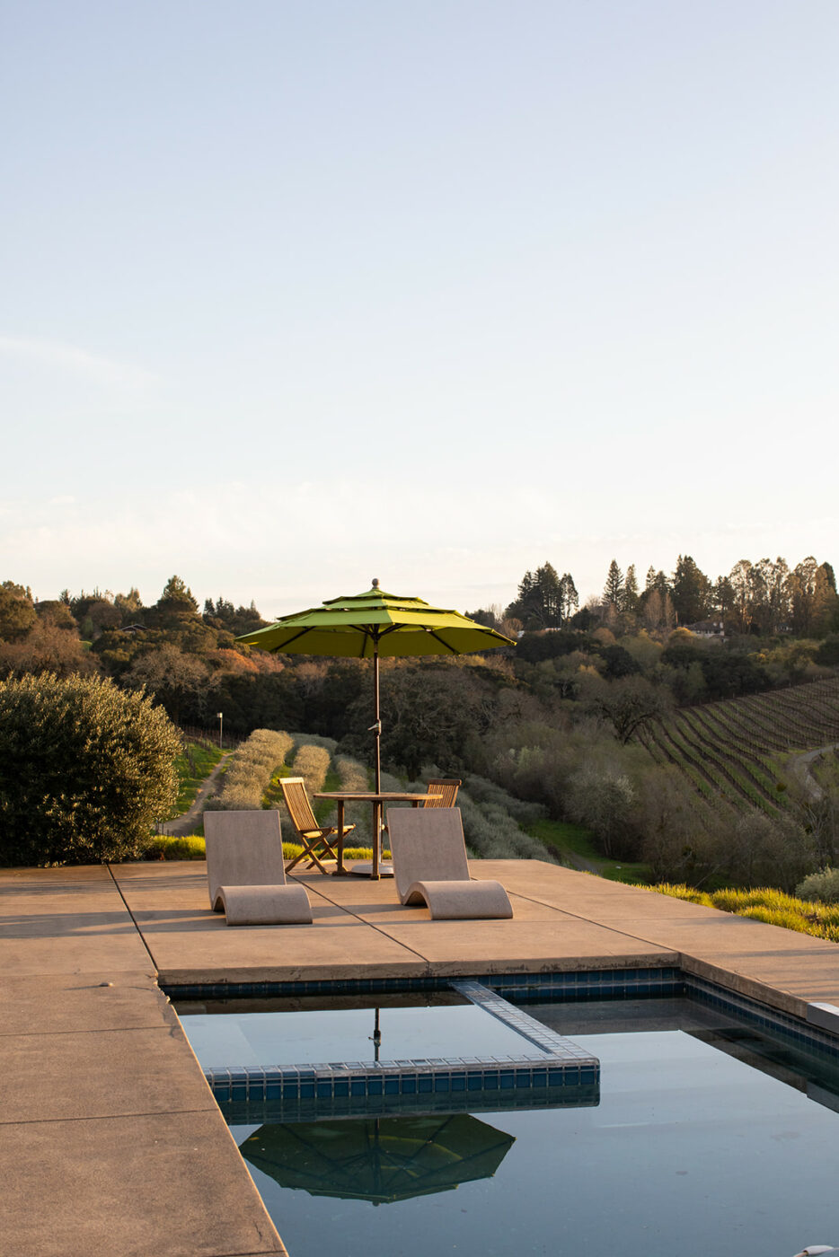 In June, the vineyards and olive groves come alive with the lush energy of the season, a sense of fertility and vitality, Singer says. (Eileen Roche / Sonoma Magazine)