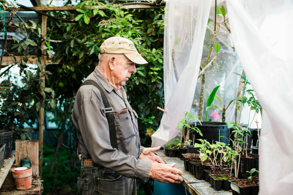 One of the wise old sages of the rare fruit growers association, Phil Pieri tells newcomers to ask plenty of questions and “be curious, be damn curious.” (Eileen Roche / Sonoma Magazine)