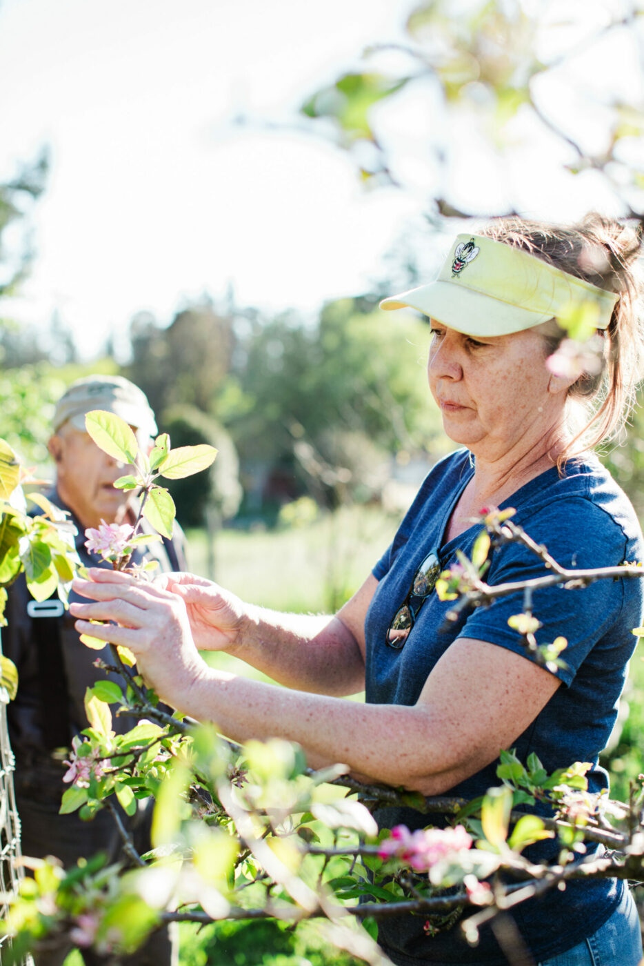 Expert grower Maile Pieri in her family’s hillside orchard in Petaluma. She and her father, Phil Pieri, have each served as chairperson of the local chapter of the rare fruit growers association. (Eileen Roche / Sonoma Magazine)