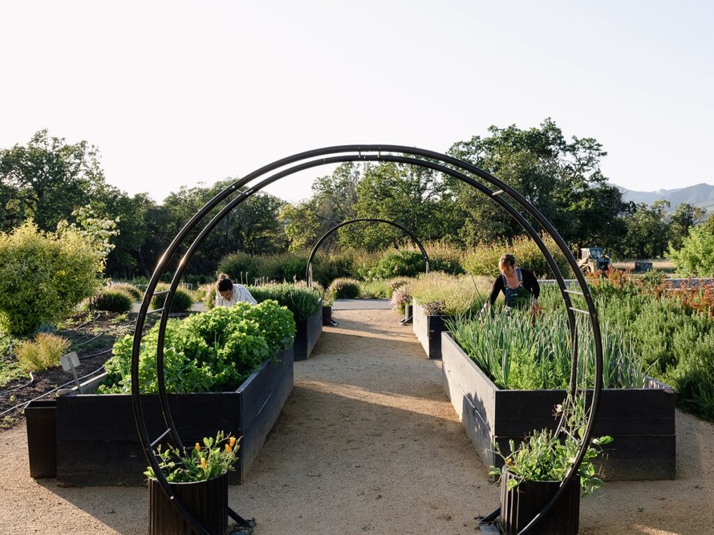 The Ultimate Guide to Spring Planting in Sonoma