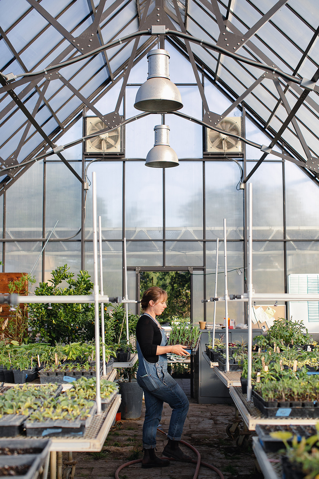 Farmer at Flatbed Farm in Glen Ellen