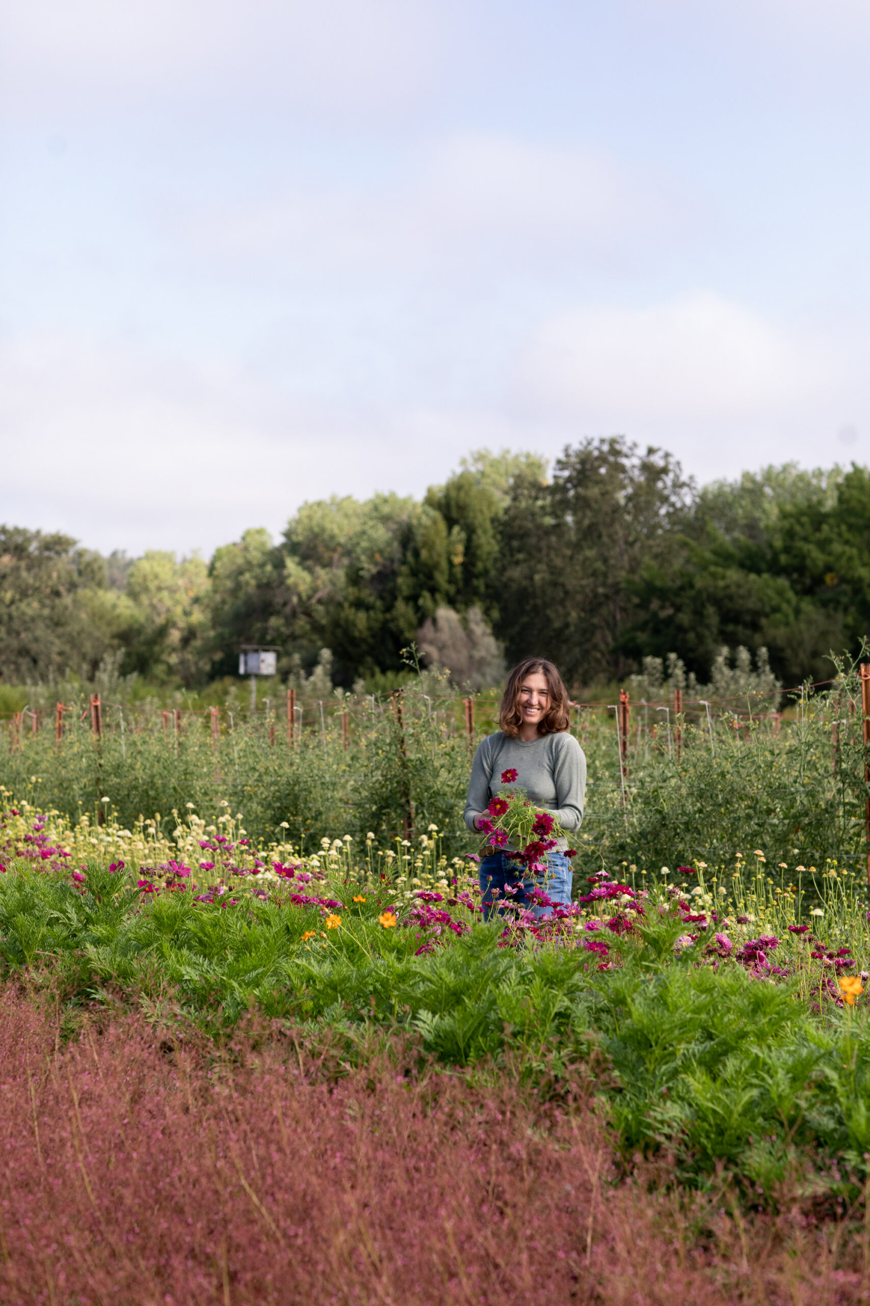 Front Porch Farm in Healdsburg