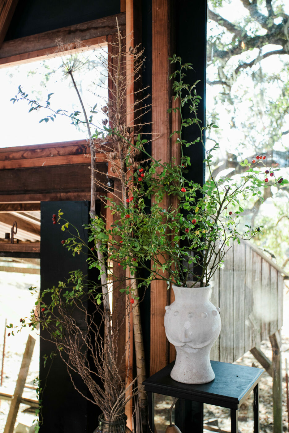 Alexander Valley craft home