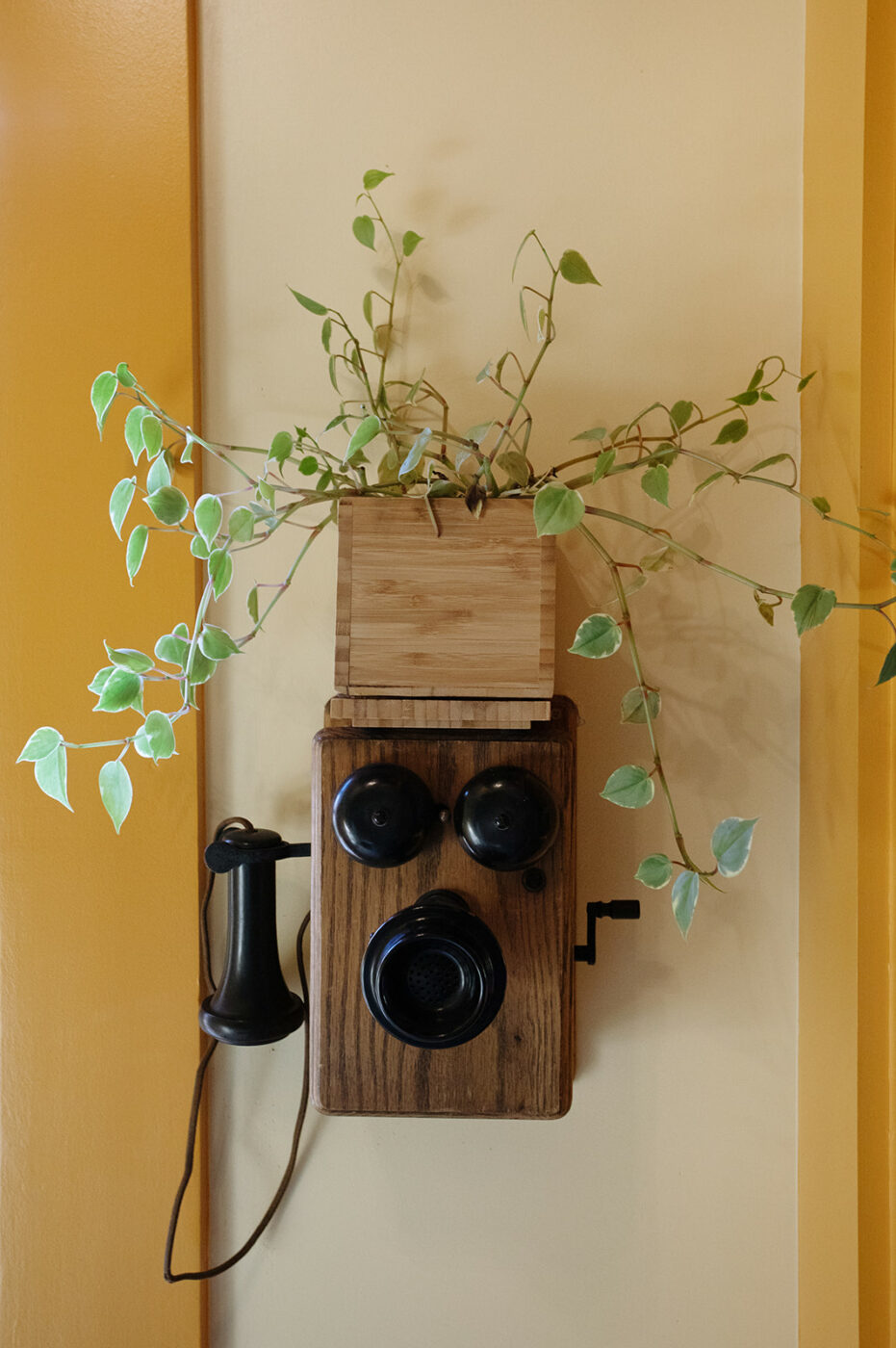 Historic Healdsburg home