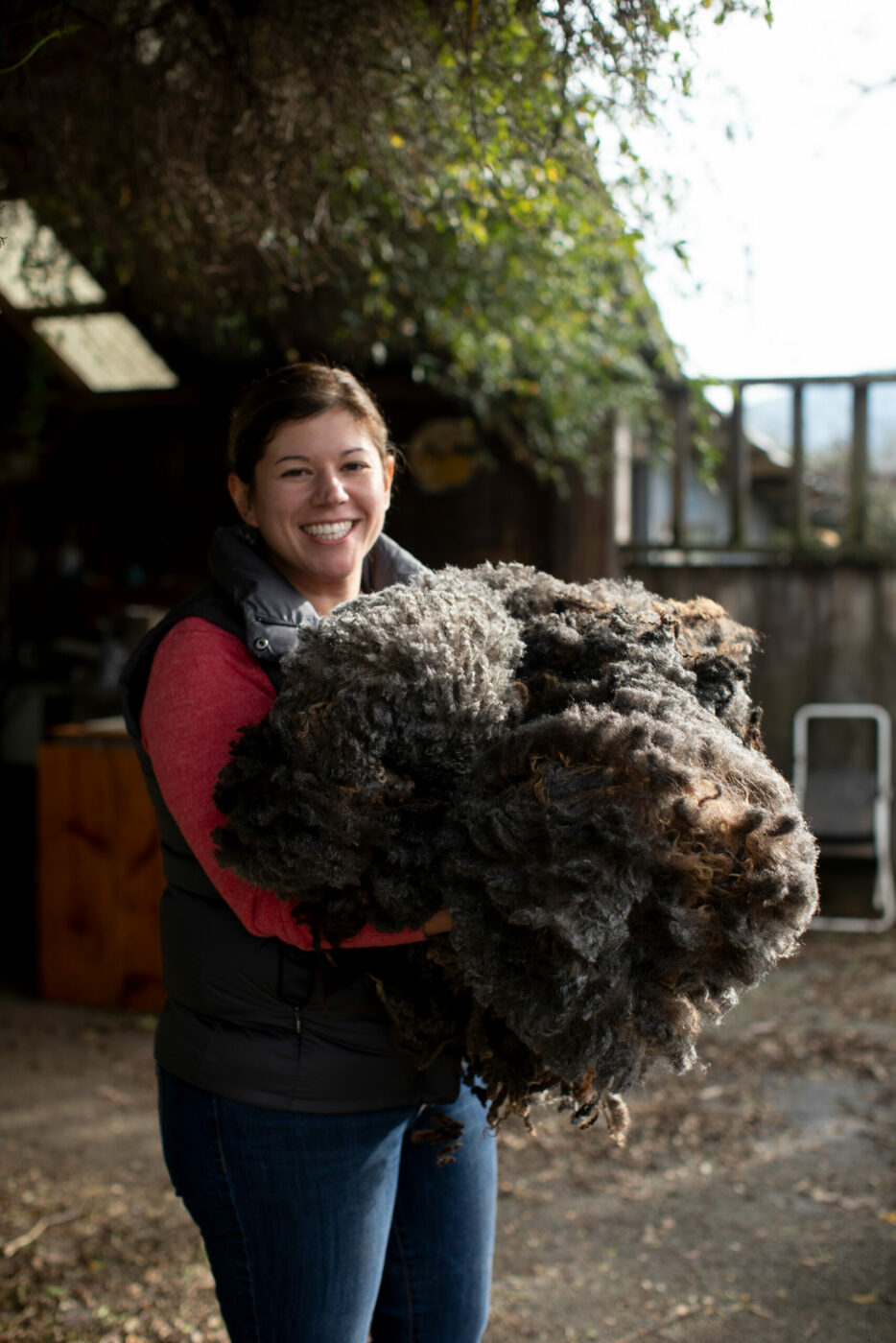 Guests can explore fiber arts at Windrush Farm in Petaluma. (Paige Green / Courtesy Windrush Farm)