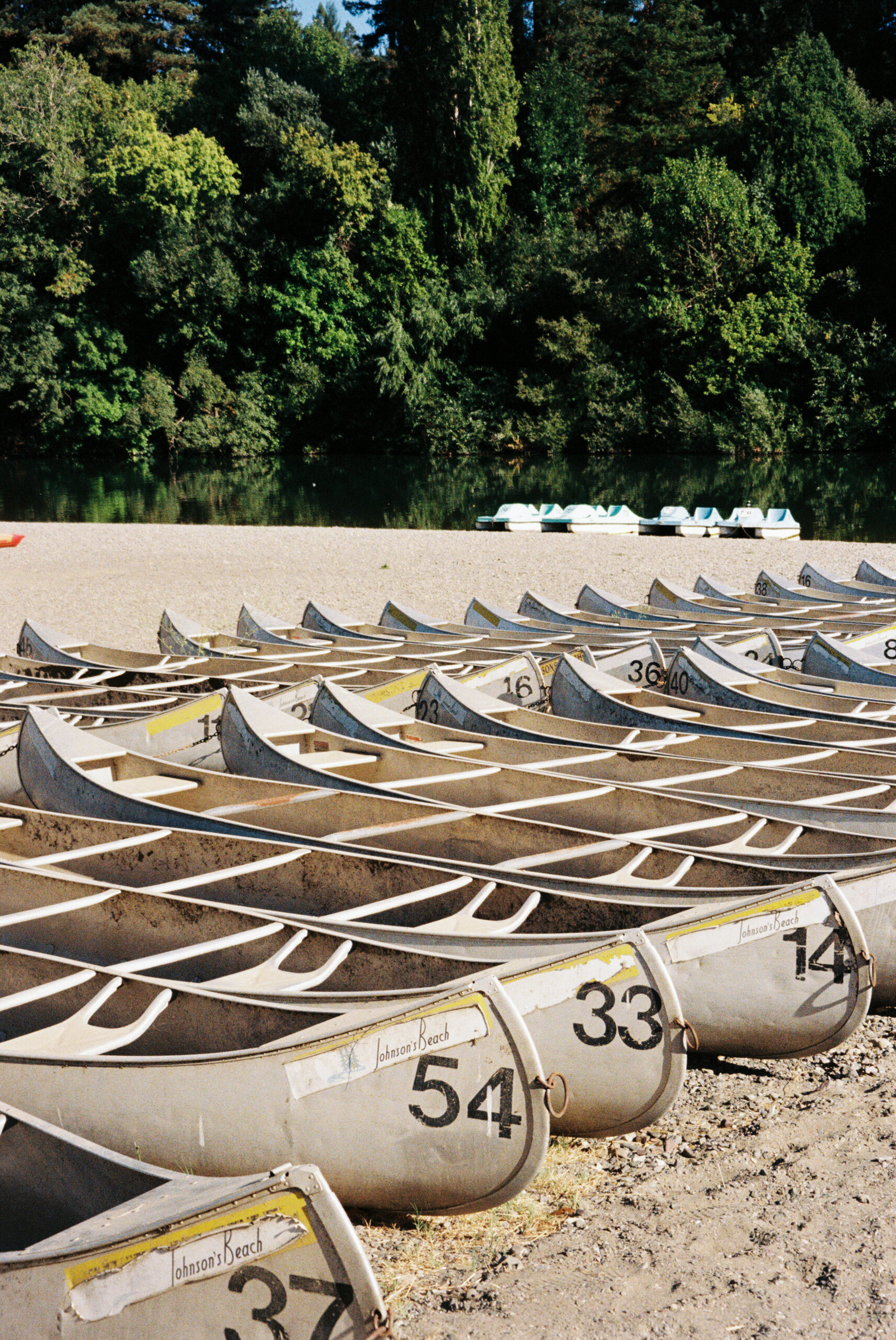 Canoes at Johnson's Beach in Guerneville