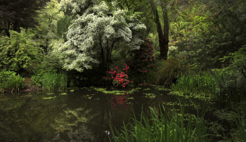 Western Hills Garden