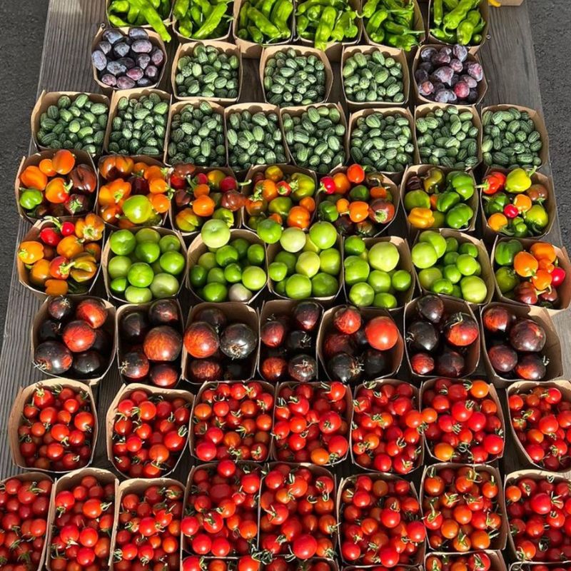 Penngrove's Deep Roots Farm