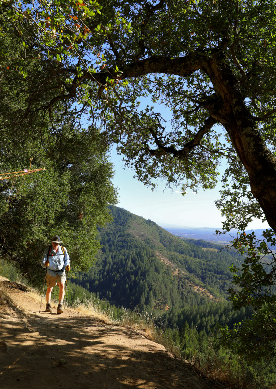 Dogs are allowed on leash in Hood Mountain, but not in Sugarloaf Ridge. Both are open from 7 a.m. to sunset and parking is  or free for members. (Photo: Christopher Chung/ The Press Democrat)