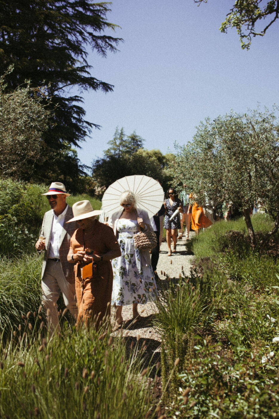 Sonoma County Wedding in Sebastopol