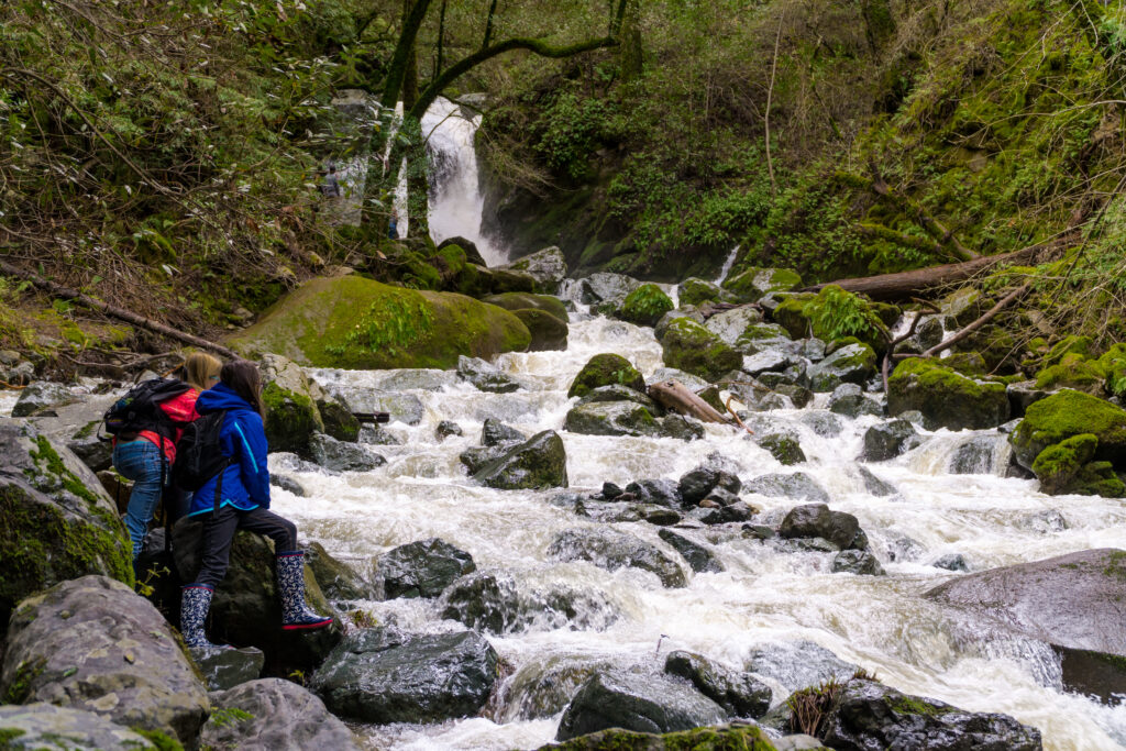 The waterfall and creek at Sugarloaf Ridge State Park in Kenwood.