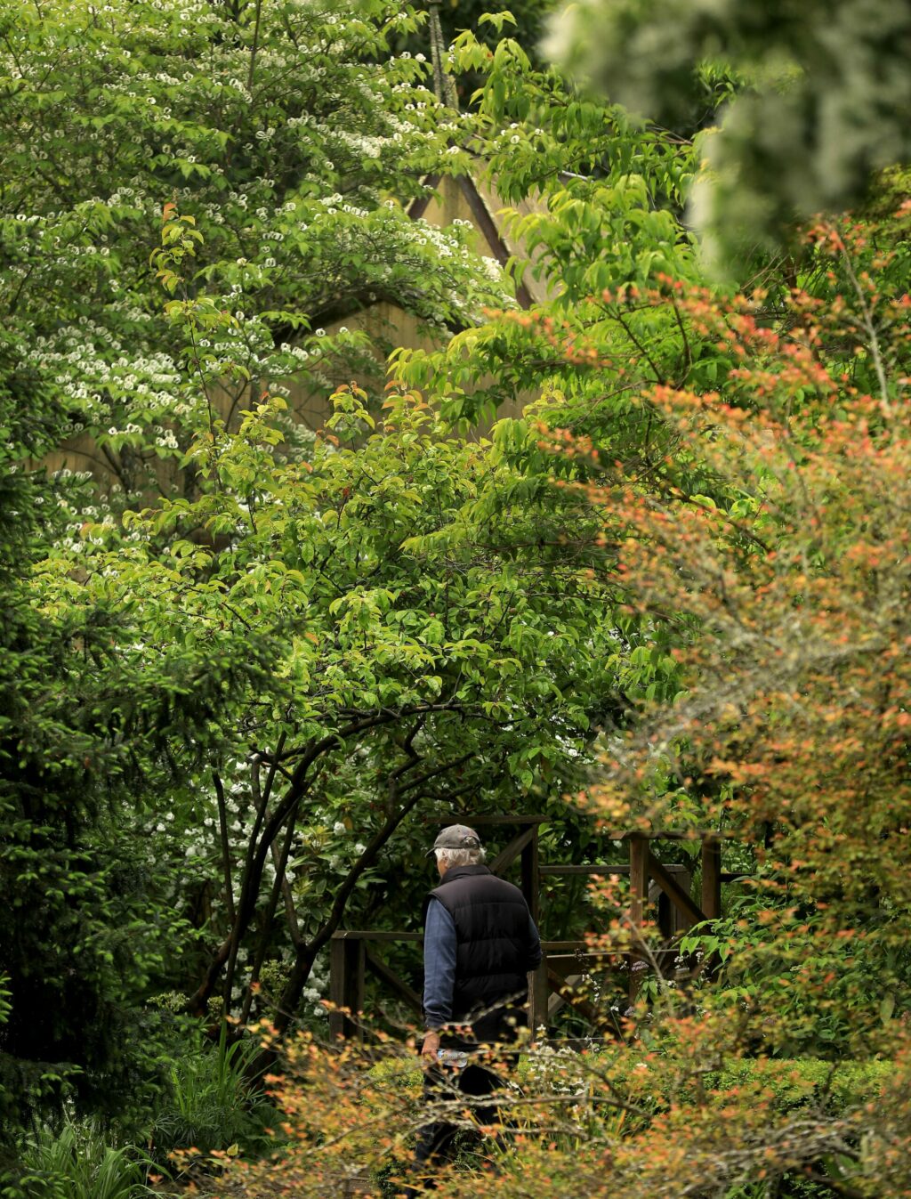 Western Hills Garden