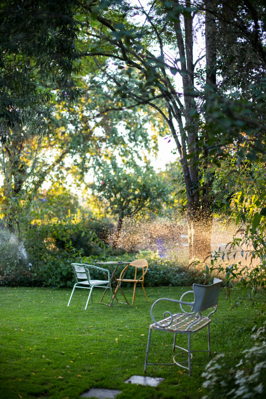 The winery’s 2023 Vin Gris (), a Mourvedre-based rosé, has soft berry aromas and strawberry flavor. (Airyka Rockefeller)