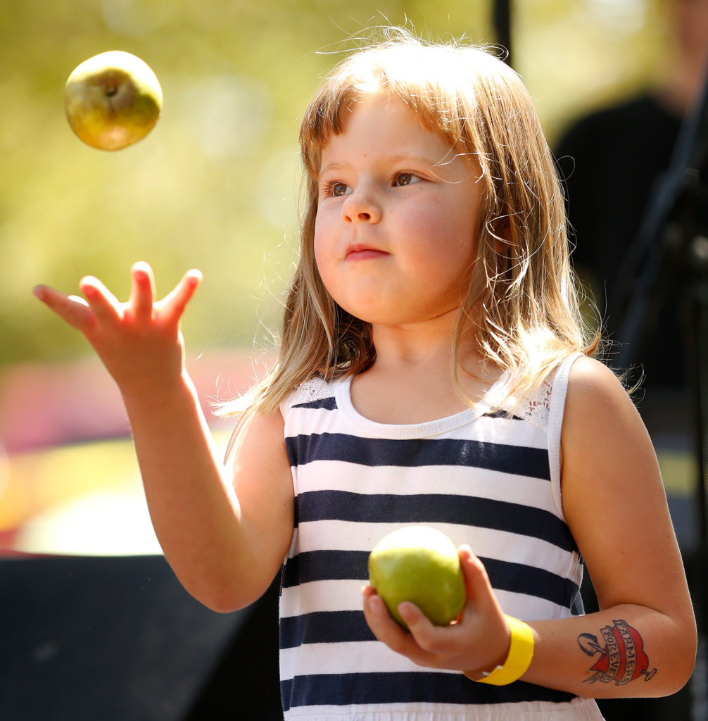 Grace Lewis, 5, of Santa Rosa participates in the kids apple juggling contest during the Gravenstein Apple Fair at Ragle Ranch Park in Sebastopol, on Saturday, August 17, 2019. (Alvin Jornada / The Press Democrat)