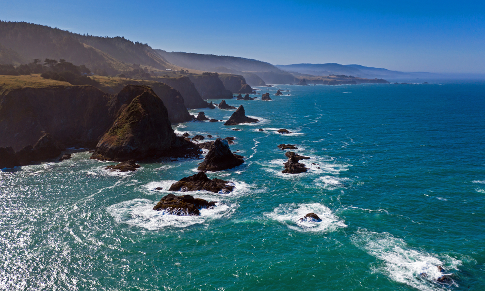 The Mendocino Coast at Albion. (Joel Shawn / Shutterstock)