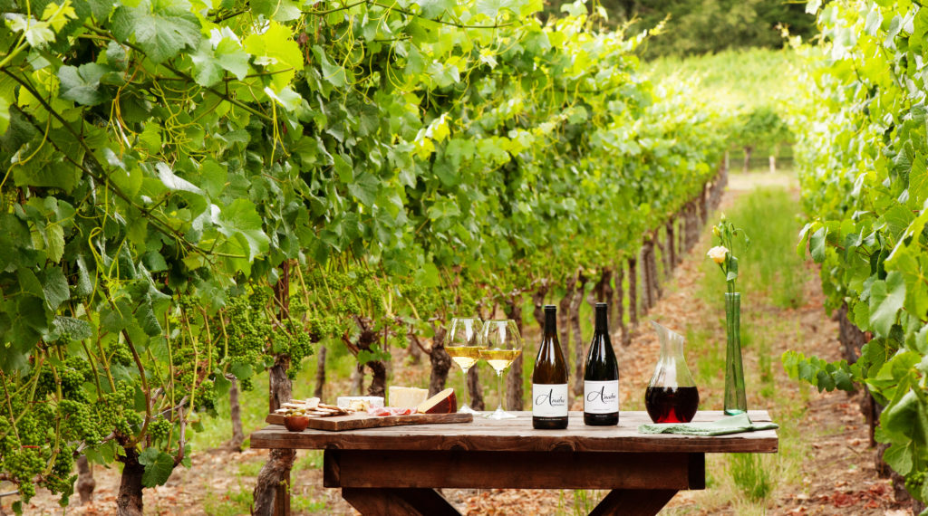 Anaba Wines in Sonoma. (Courtney Wilson)