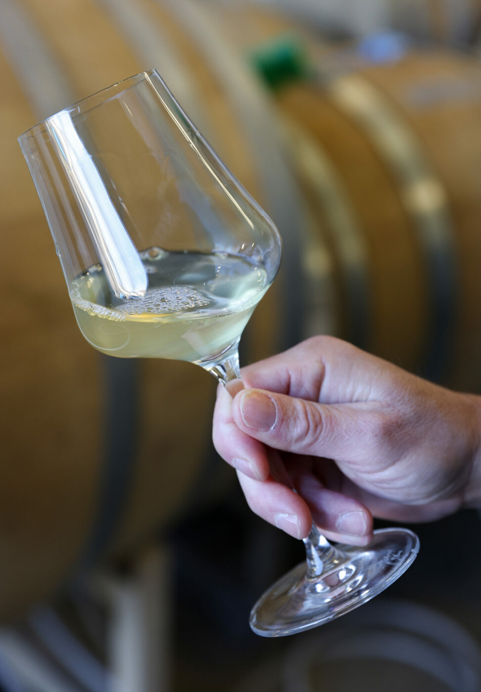 Marine Layers Picpoul Blanc wine