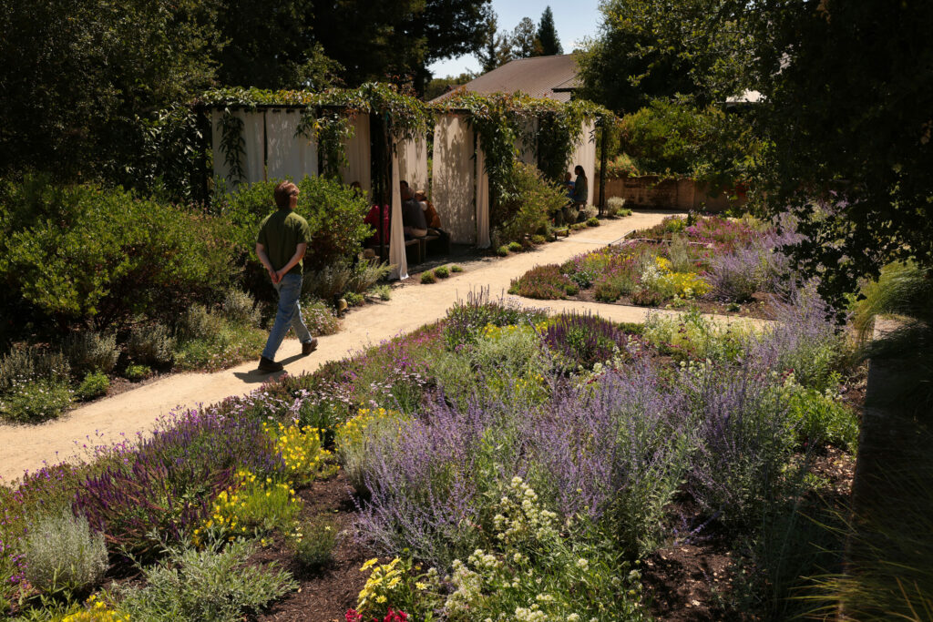 Colorful gardens surround the cabanas at Flowers Vineyards & Winery near Healdsburg on Friday, July 25, 2025. (Christopher Chung/The Press Democrat)