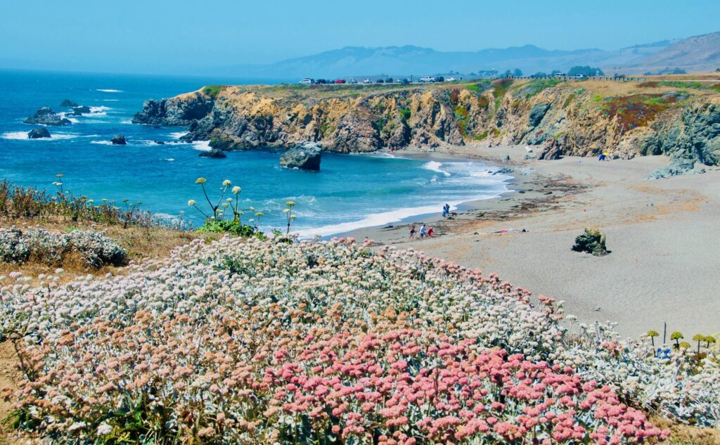 Best Sonoma County Beaches: From the Russian River to the Pacific Coast
