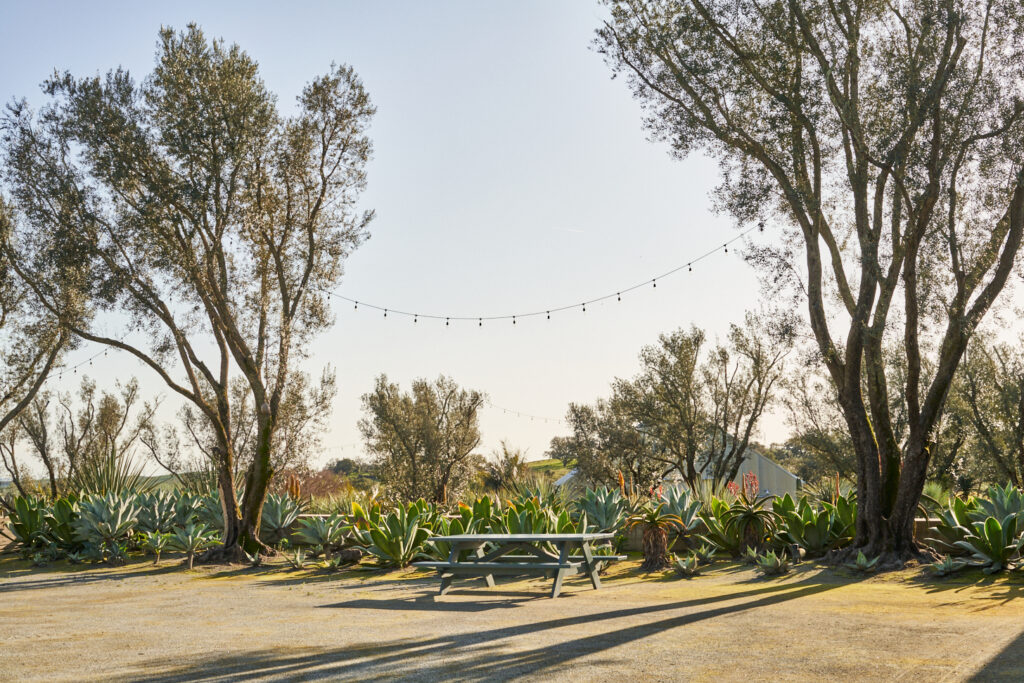 The courtyard at Hudson Ranch and Vineyards in Napa. (Gentl and Hyers)
