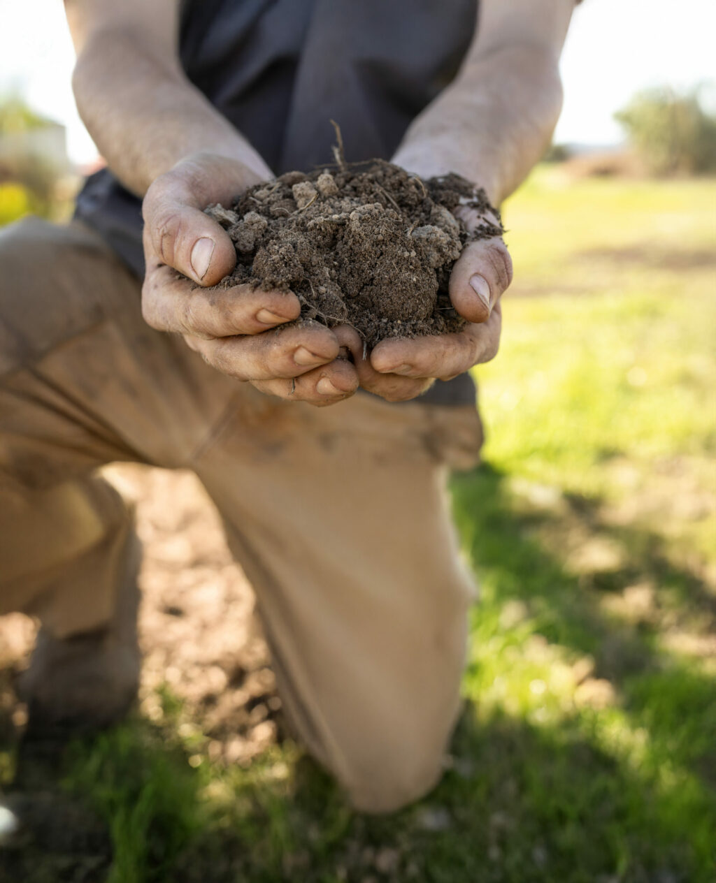 Longer Table Farm in Santa Rosa