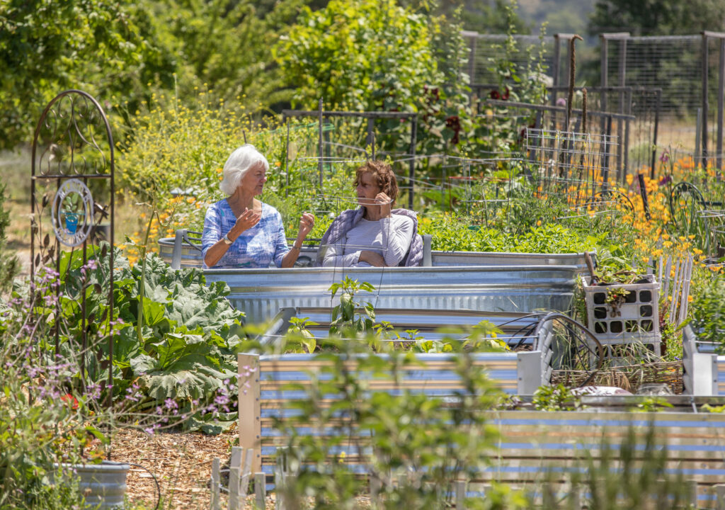Sonoma Garden Park is a working farm and education center. Along with crops, community garden plots, a native plant nursery, a labyrinth and pathways leading to areas like the fig forest, children's garden, bee and butterfly gardens, it is a natural hidden gem in Sonoma. Guests sit in the community garden section while visiting Thursday, June 8, 2023. (Chad Surmick / The Press Democrat)