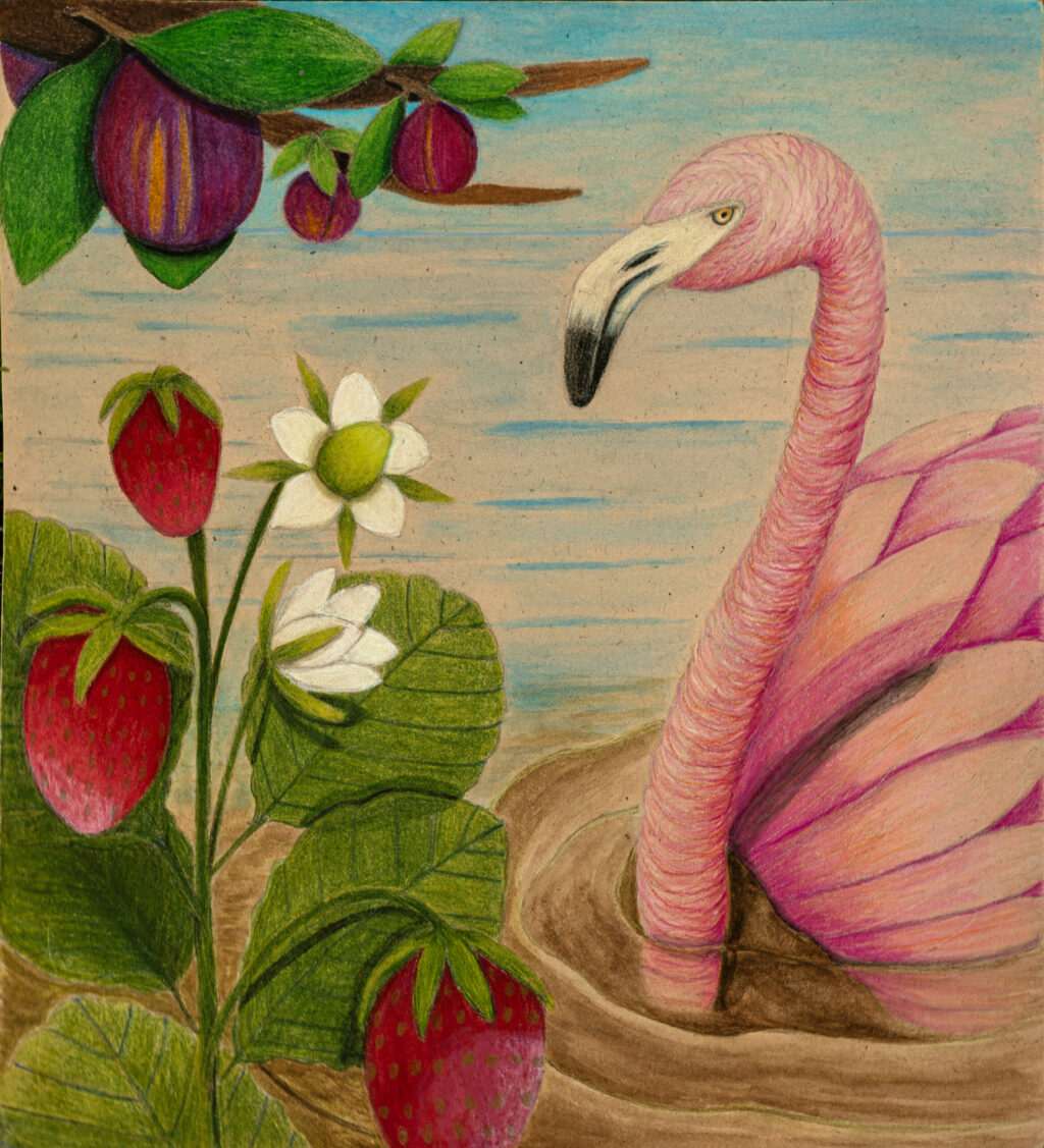 Pencil artwork produced by Grace Davis, who lived near the entrance to Steele Lane Park off Schurman Drive in Santa Rosa, July 5, 2024. (Chad Surmick / The Press Democrat)