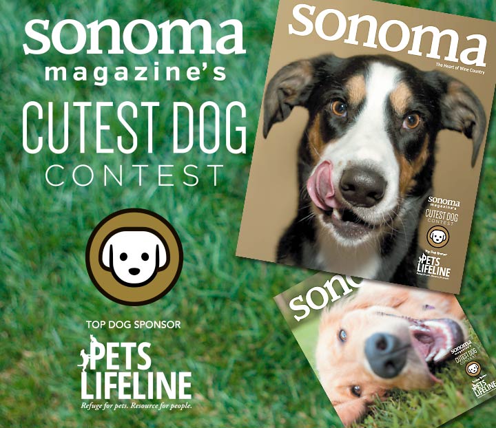 Enter Sonoma Magazine's Cutest Dog Contest