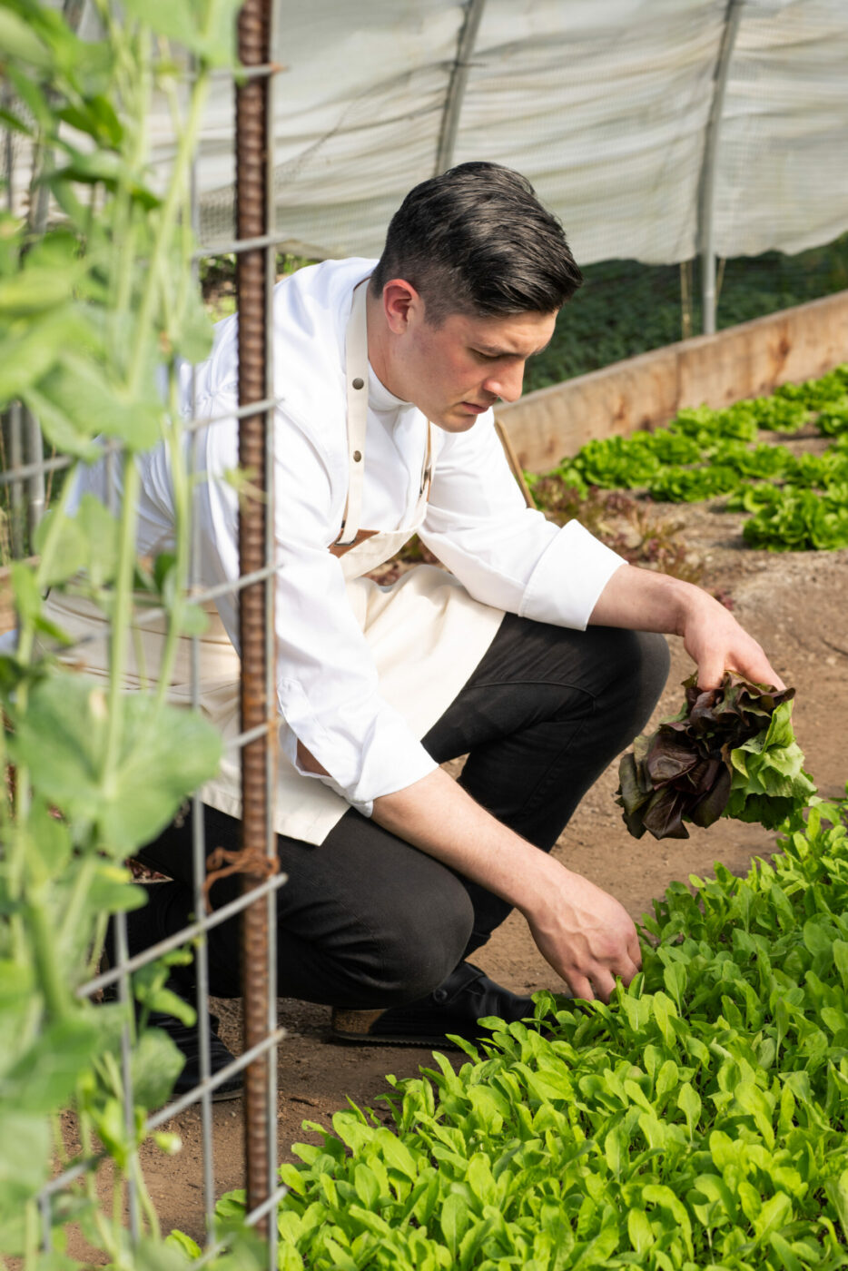Chef Brian Limoges of Enclos restaurant in Sonoma