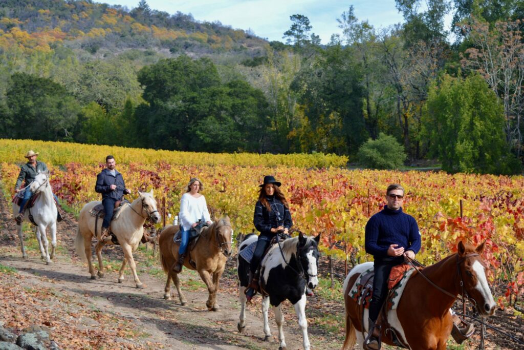 A fall horseback ride through the vineyards at Bartholomew Estate in Sonoma. (Michelle Hogan)