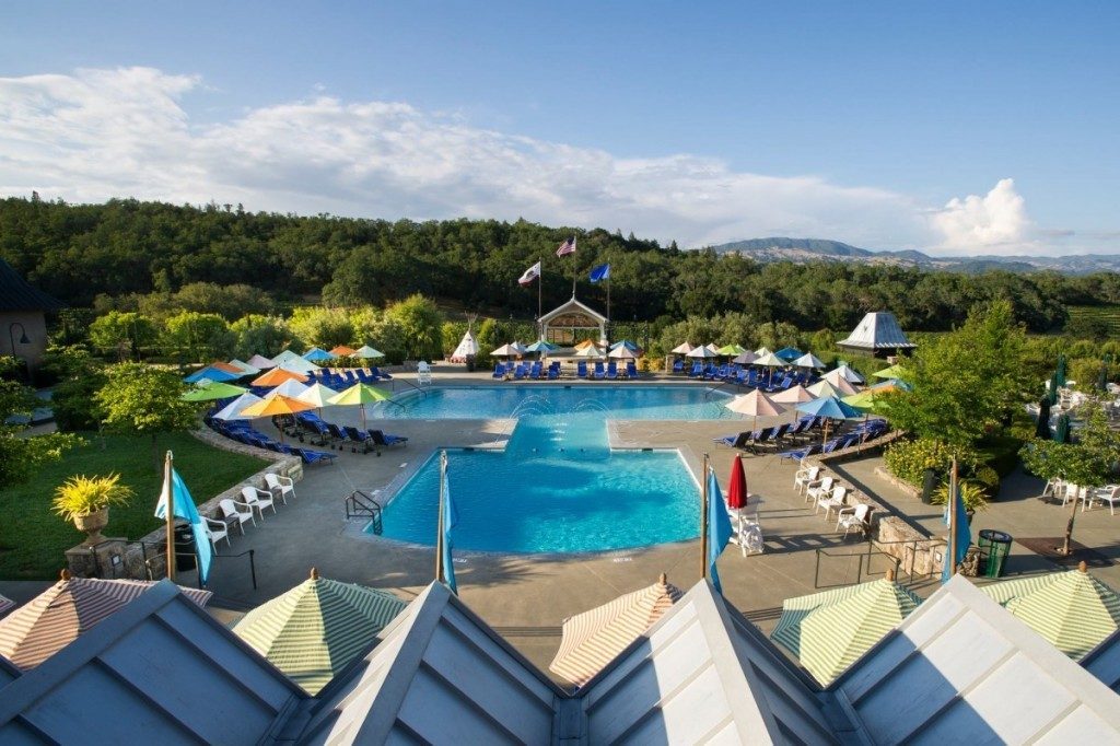 cool off in the pool at Francis Ford Coppola Winery