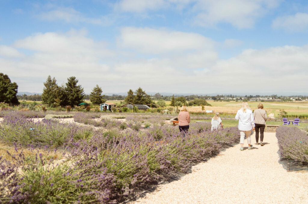 Bees N Blooms garden