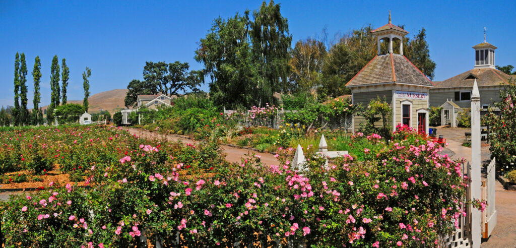 Garden Valley Ranch in Petaluma. (Sonoma County Tourism)