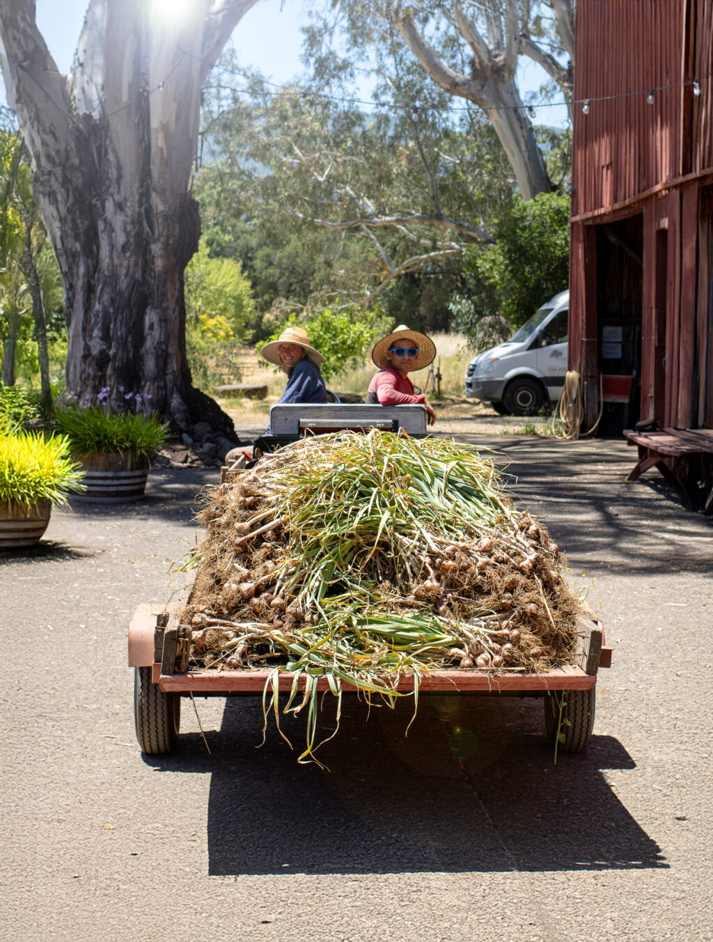 Farmers at Oak Hill Farm in Glen Ellen