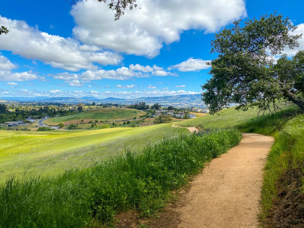 New, improved trail at Helen Putnam Regional Park.Dec. 12, 2021 (COURTESY OF SONOMA COUNTY PARKS)