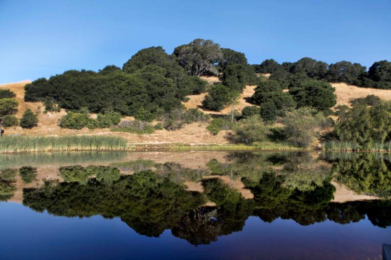 A lake at Helen Putnam Regional Park in Petaluma. (Crissy Pascual / Petaluma Argus-Courier)