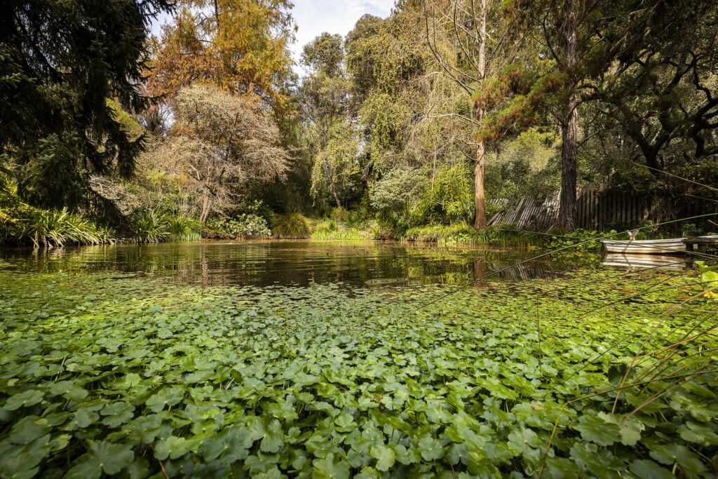Western Hills Garden