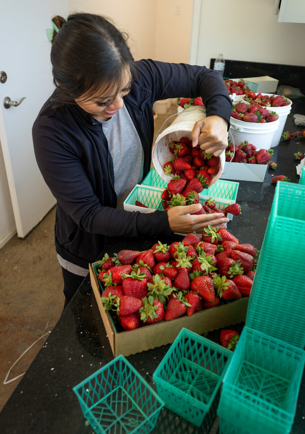Muoang Saetern and her husband Ryan make the long drive from Visalia to run the sales from the Highway 12 strawberry stand near Sebastopol for their father Lao so he can spend the weekend caring for the equipment in the fields Sunday, May 19, 2024. (John Burgess/The Press Democrat)