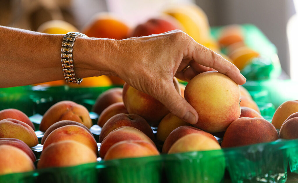 Dry Creek Peach and Produce owner Gayle Sullivan puts peaches on display on Friday, Sept. 15, 2023, west of Healdsburg. (John Burgess / The Press Democrat)