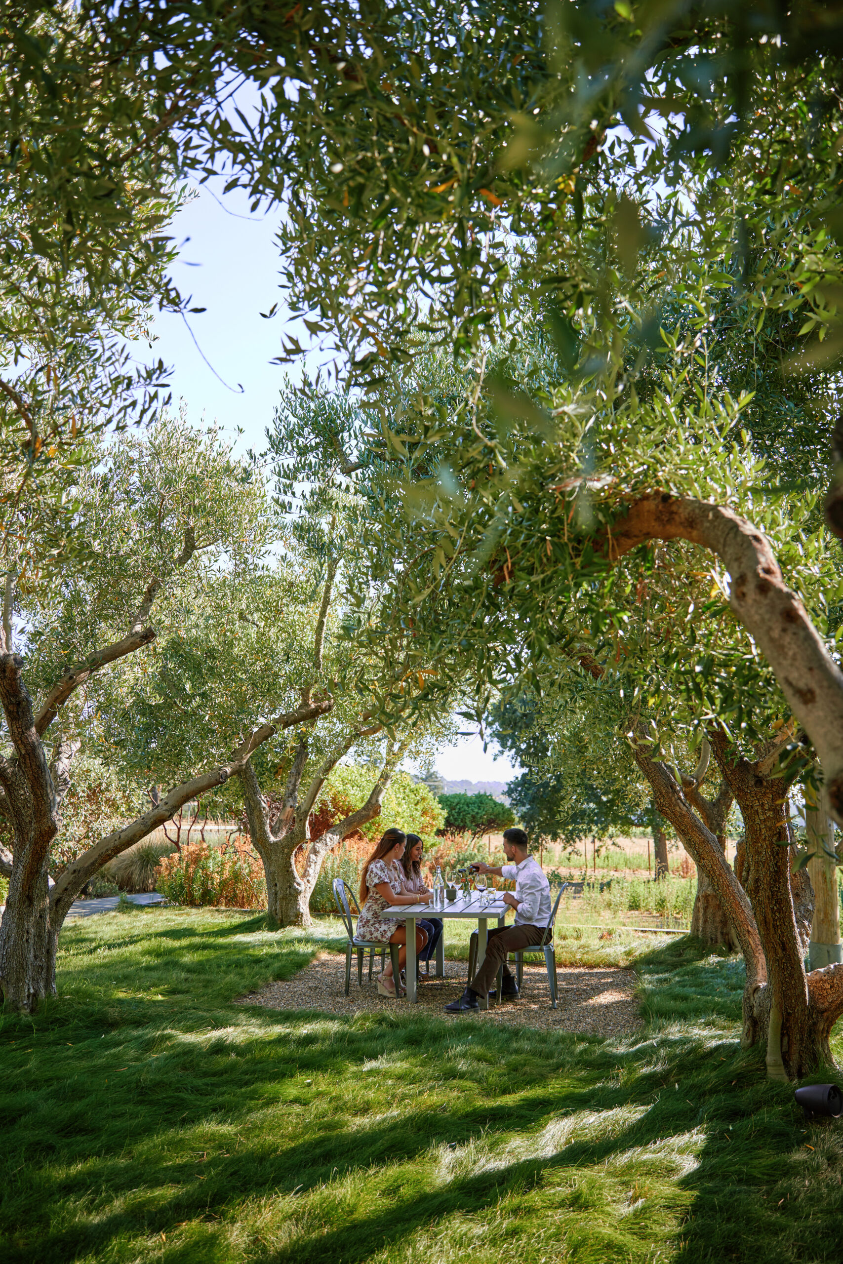 At Medlock Ames in Healdsburg. (Kim Carroll / For Sonoma Magazine)