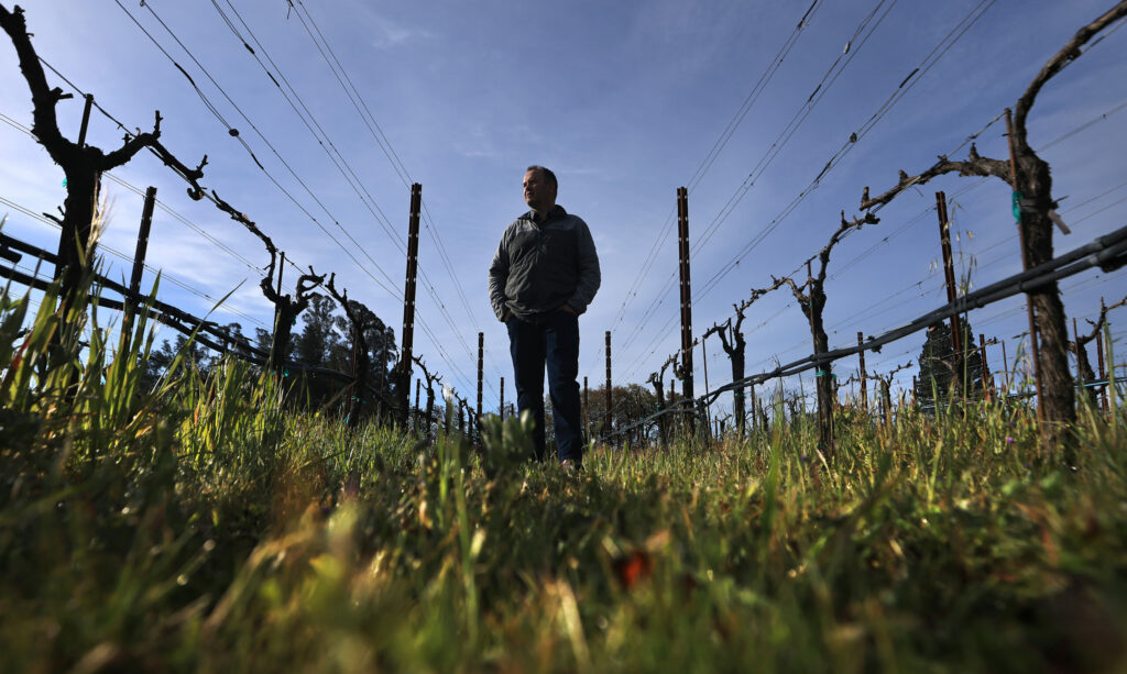 Andy Smith of DuMol Wines, Thursday, April 6, 2023, planted Mencia root stock from Spain that stands up to colder weather by breaking later in the growing season and harvested in late October. With the later bud break, the grapes growth bypasses freezing temperatures, eliminating most of the need for frost protection, saving water. (Kent Porter / The Press Democrat) 2023