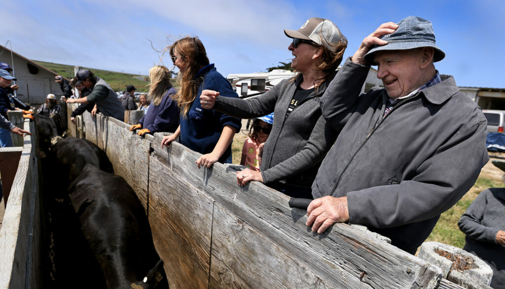 Joe Lunny and daughter Pamela Lunny react as Joe hangs on to his hat during a windy last roundup of cattle, Saturday, May 17, 2025. (Kent Porter / The Press Democrat)