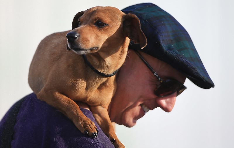 20 Dog Friendly Places In Sonoma County